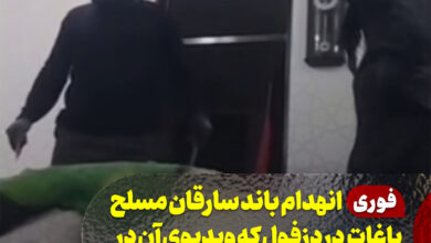 سارق مسلح سرقت مسلح باغ ویلا دزفول