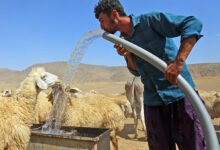 تنش آبی
