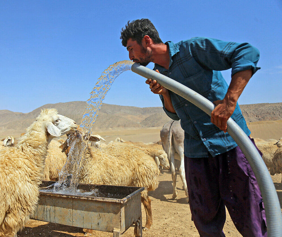 تنش آبی