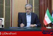 دکتر نعمت طهماسبی سرپرست دانشگاه جندی شاپور دزفول